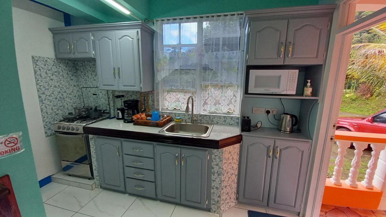 Apartamento Cozy Vacation Retreat With Free Parking Roseau Exterior foto