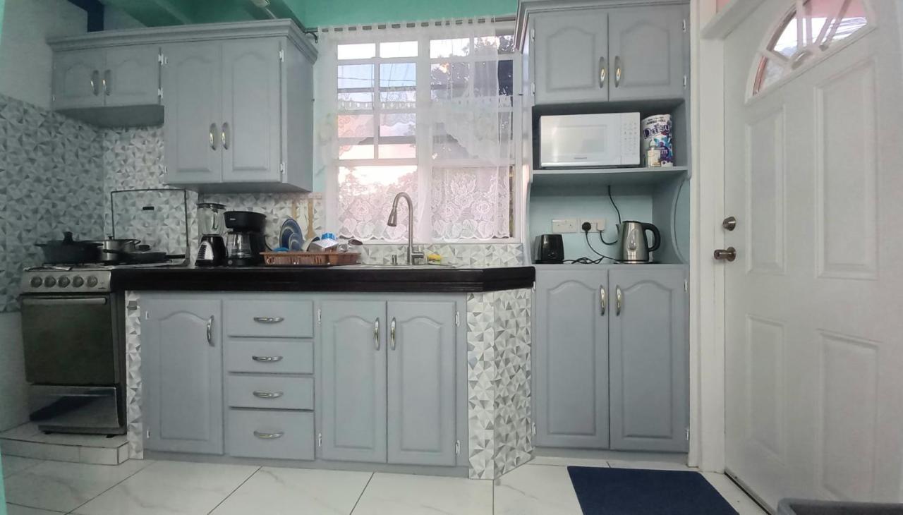 Apartamento Cozy Vacation Retreat With Free Parking Roseau Exterior foto